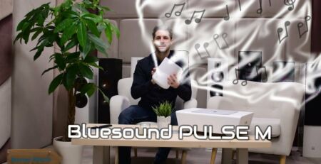 Bluesound PULSE M - 360 Grad Lautsprecher